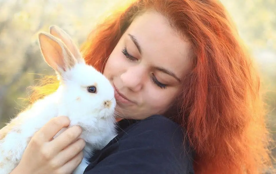 Can I Get Sick From My Bunny? (Zoonotic Diseases and Allergies